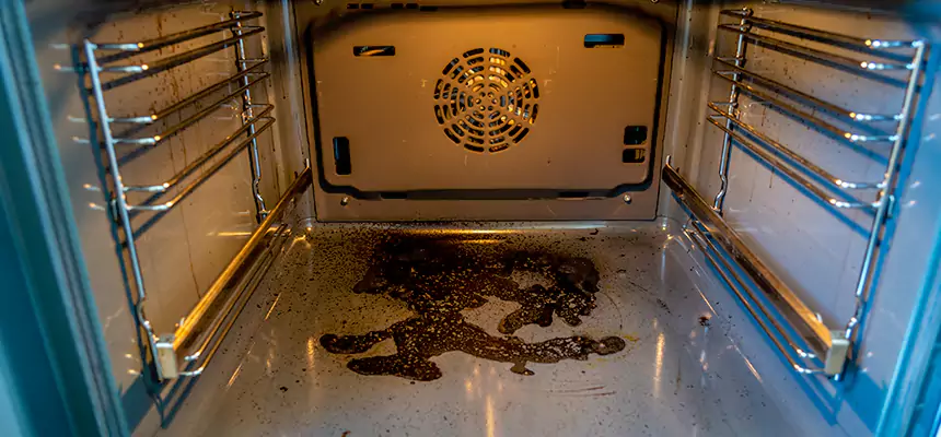 Our Dryer Vent Mold Cleaning Services in Lakewood, WA