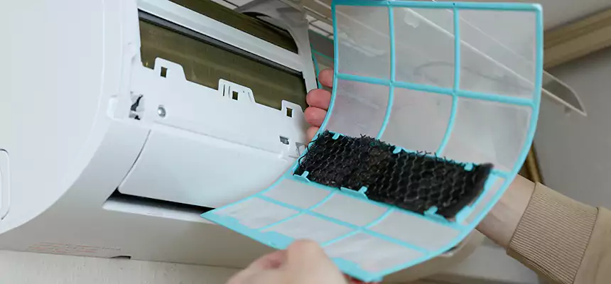 Gentle Ductwork Odor-Control Pet Dander Duct Cleaning in Lakewood, WA