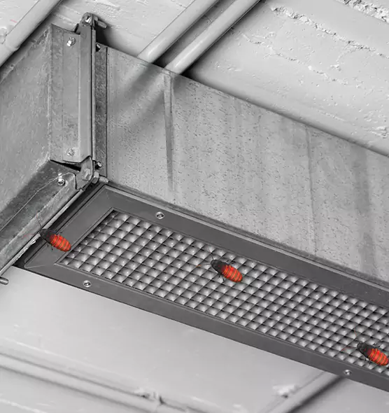 About Air Duct Cockroach Removal in Lakewood, WA