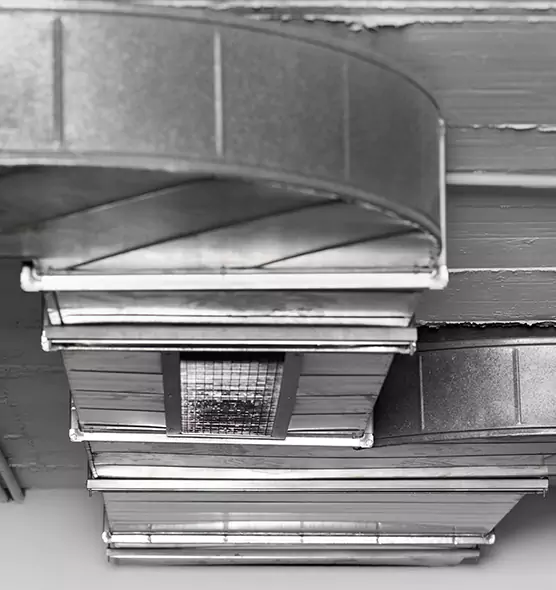 Professional Air Duct Pest Removal in Lakewood, WA