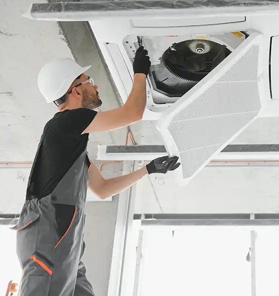 About Air Duct Rodent Removal in Lakewood, WA