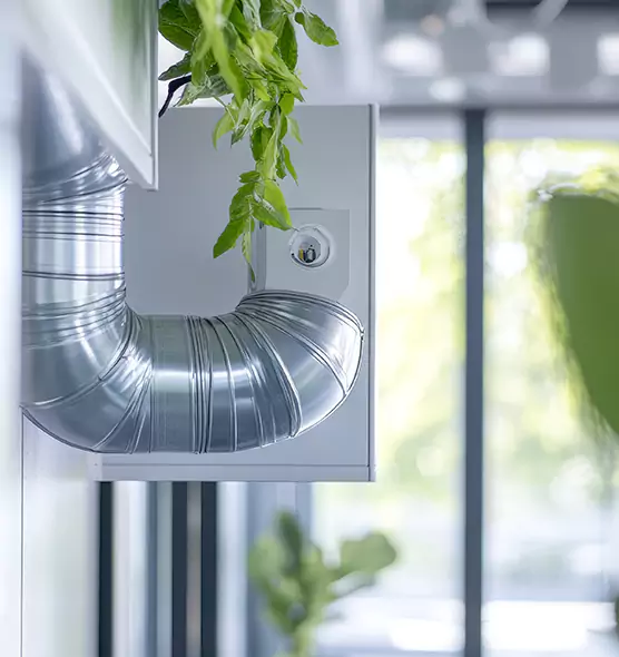 Professional Eco-Safe Dryer Vent Cleaning in Lakewood, WA