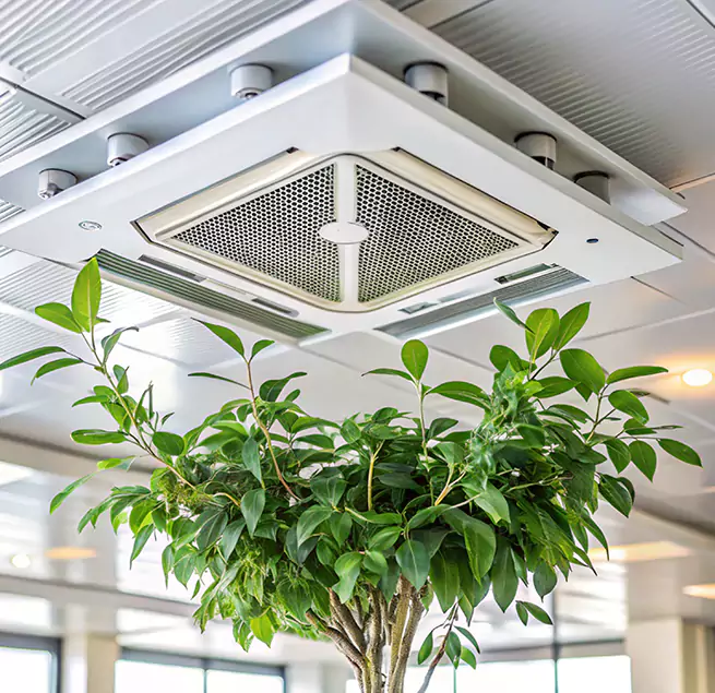 Why Homeowners & Businesses Trust Us in Lakewood, WA?