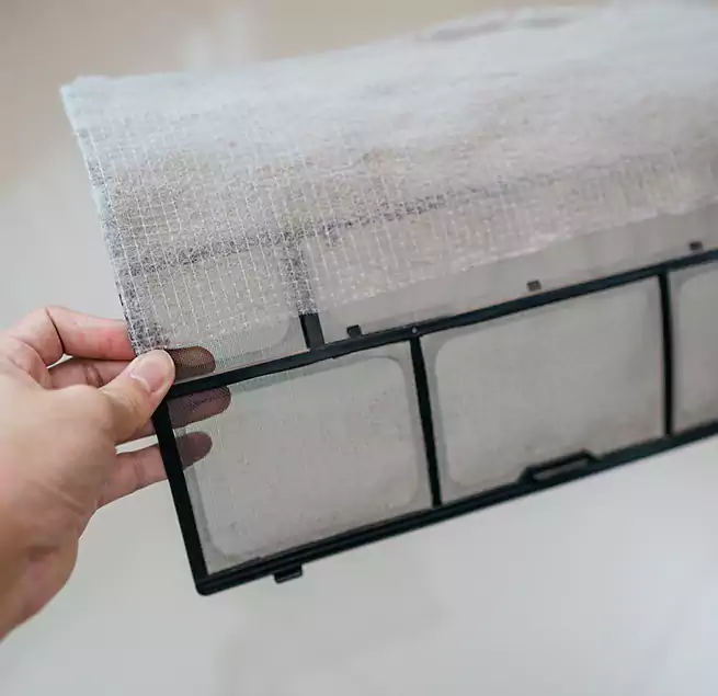 Why Homeowners & Businesses Trust Us in Lakewood, WA?