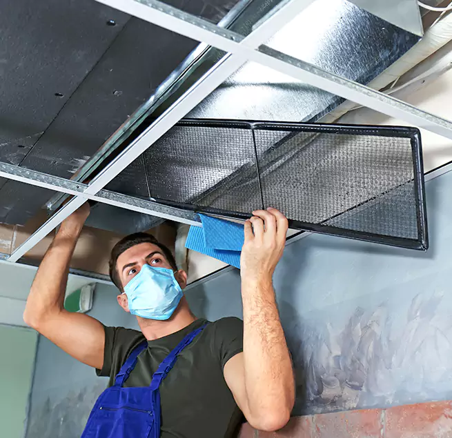 Why Homeowners & Businesses Trust Us in Lakewood, WA?